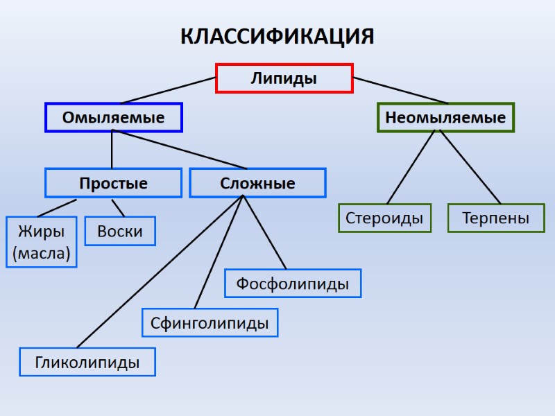 КЛАССИФИКАЦИЯ Липиды Омыляемые Неомыляемые Простые Сложные Жиры (масла) Воски Стероиды Фосфолипиды Гликолипиды Сфинголипиды Терпены